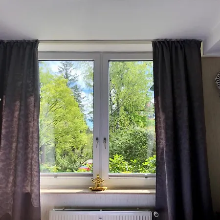 Harzromantik Apartment Braunlage