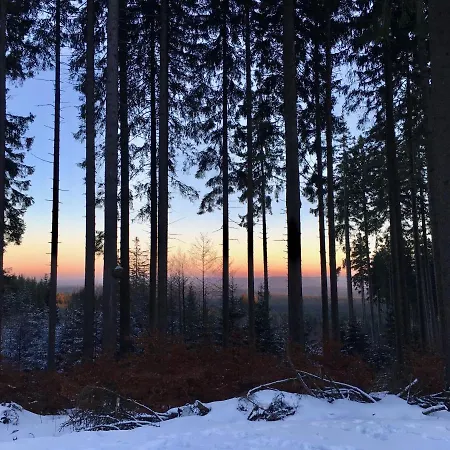 Apartment Harzromantik Braunlage