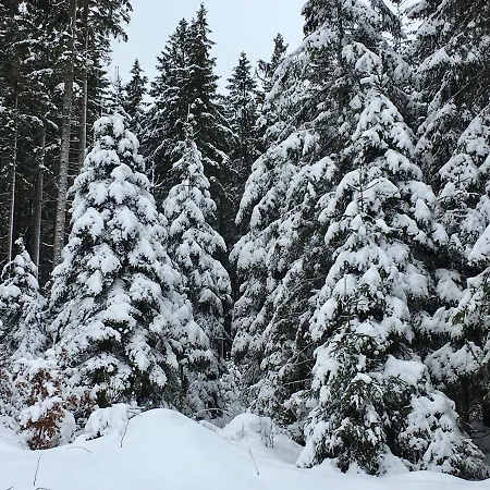 Harzromantik Braunlage